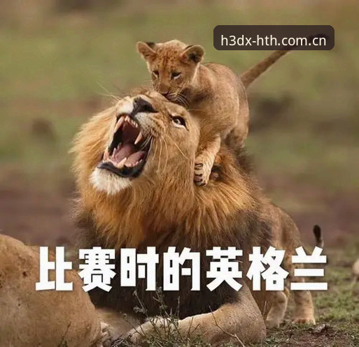 华体会官网体育资讯安卓版 揭秘华体会官网体育资讯安卓版:别让这三个坑毁掉你的看球体验